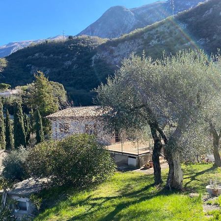 דירות מאלצ'סינה Olive Grove House מראה חיצוני תמונה