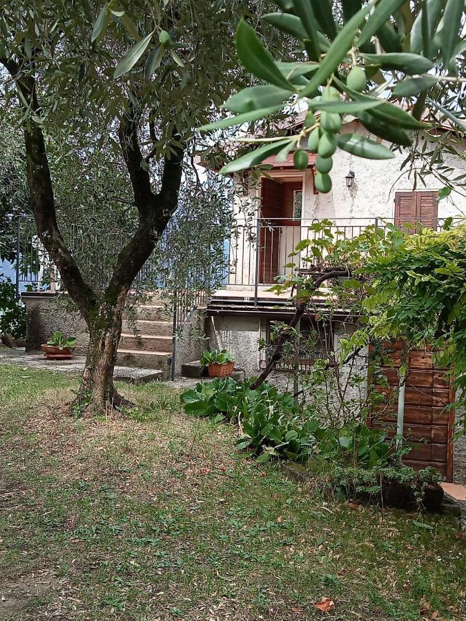 דירות מאלצ'סינה Olive Grove House מראה חיצוני תמונה