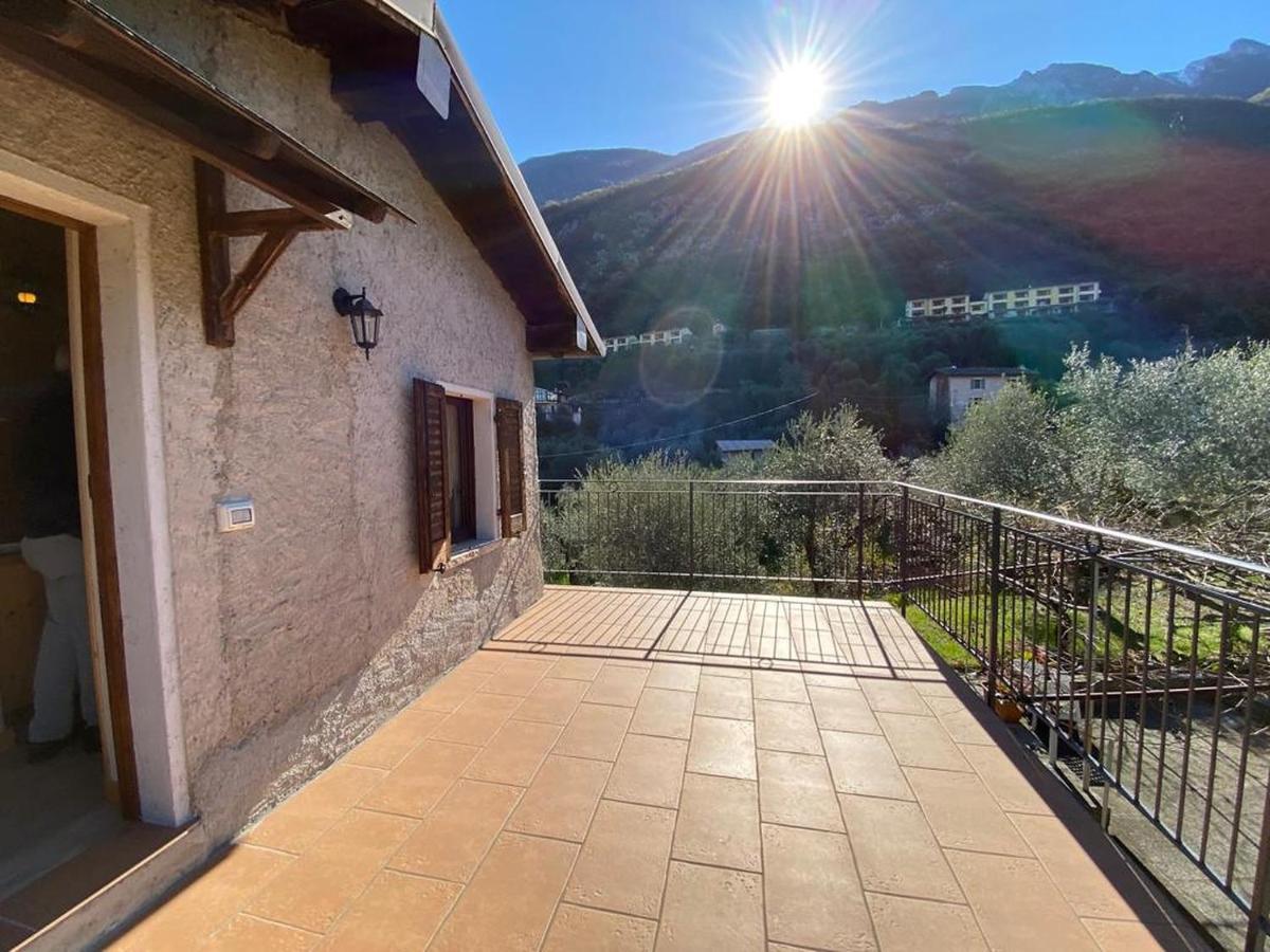 דירות מאלצ'סינה Olive Grove House מראה חיצוני תמונה