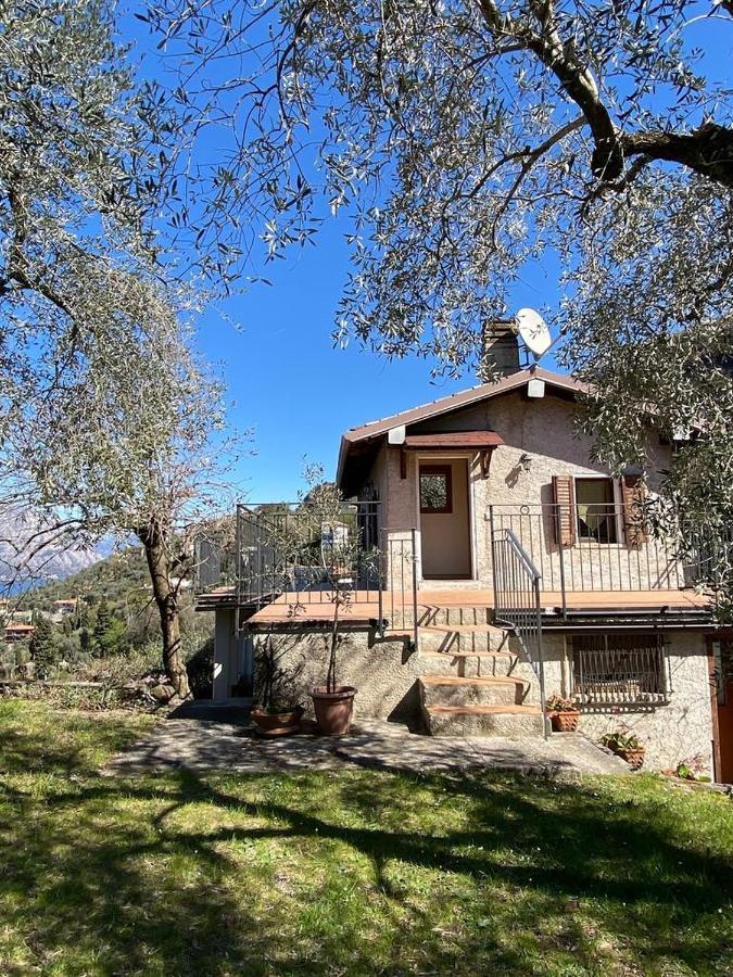 דירות מאלצ'סינה Olive Grove House מראה חיצוני תמונה