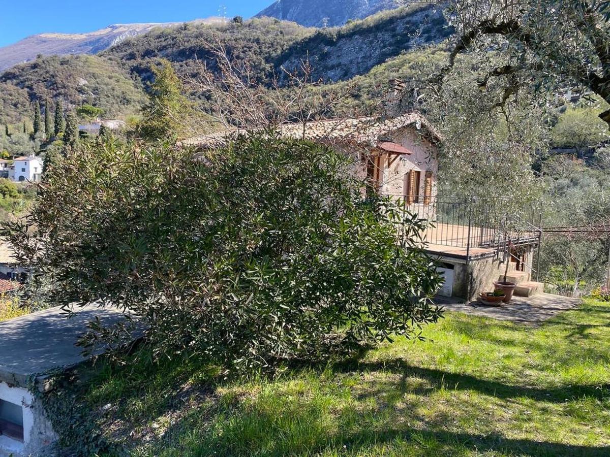 דירות מאלצ'סינה Olive Grove House מראה חיצוני תמונה