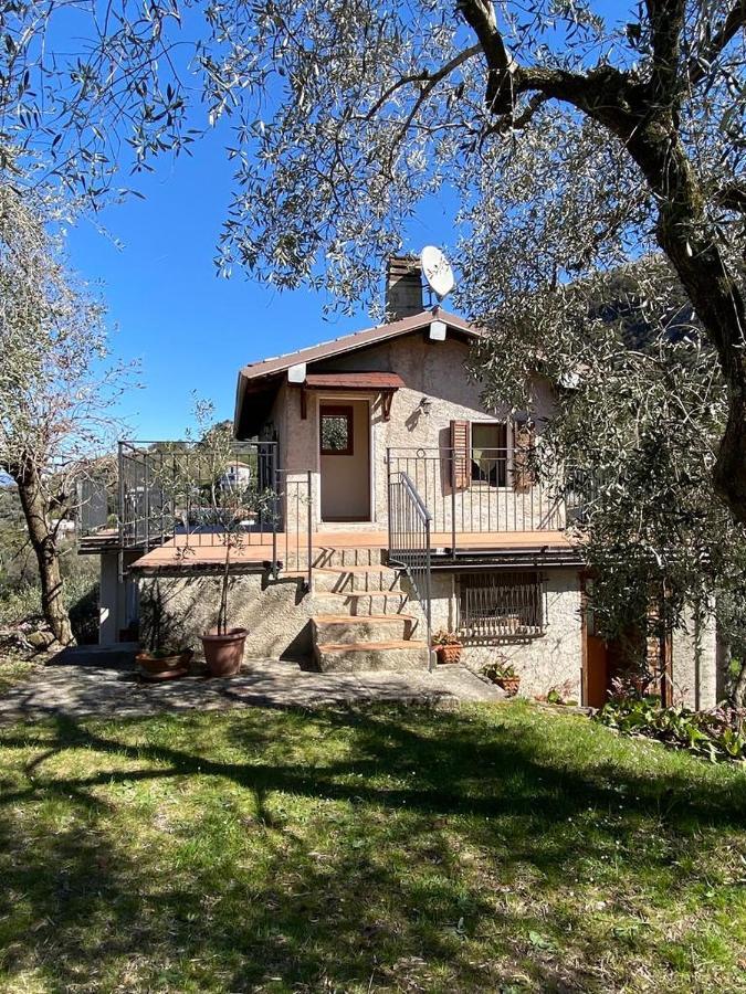 דירות מאלצ'סינה Olive Grove House מראה חיצוני תמונה
