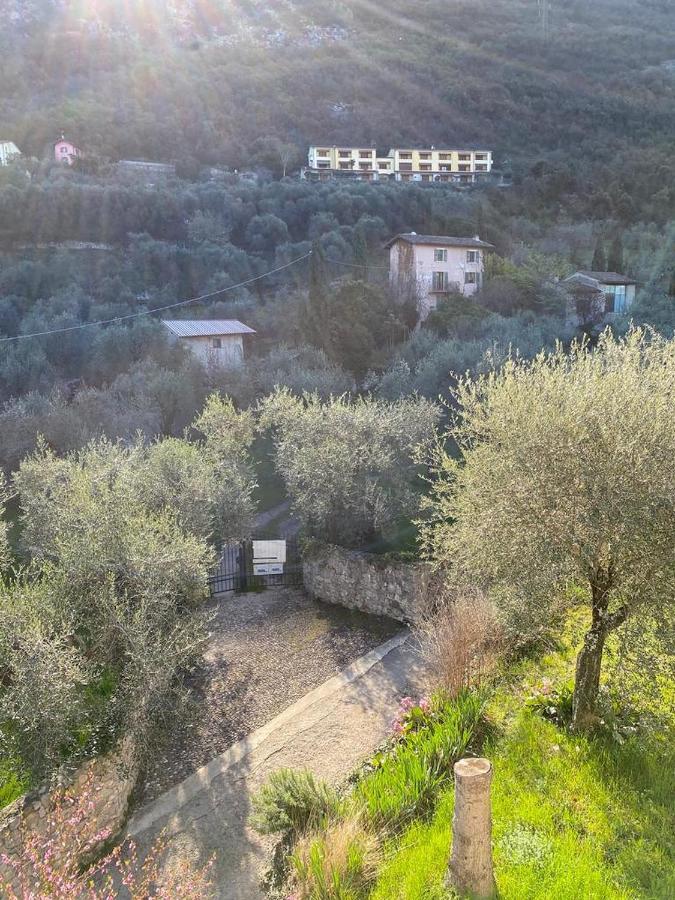 דירות מאלצ'סינה Olive Grove House מראה חיצוני תמונה